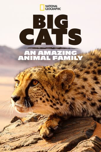 Raubkatzen – Eine faszinierende Tierfamilie