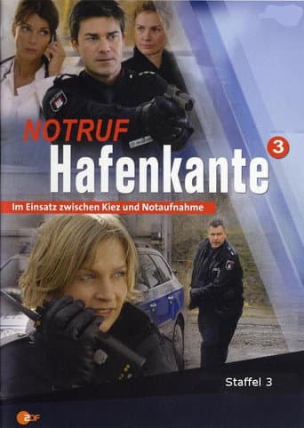 Staffel 3
