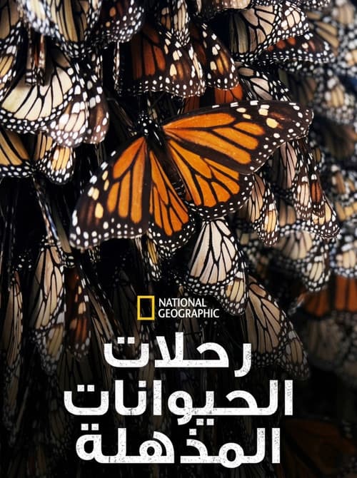 رحلات الحيوانات المذهلة