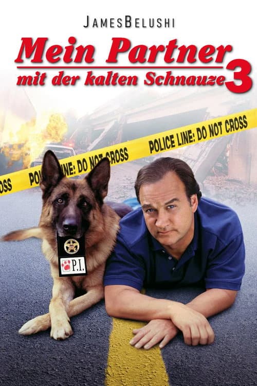 Mein Partner mit der kalten Schnauze 3