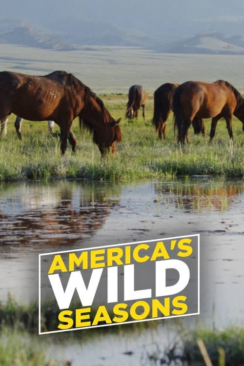 Die Wildnis der USA - Vier Jahreszeiten