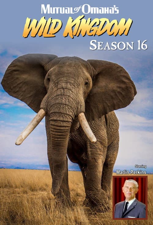 Season 16