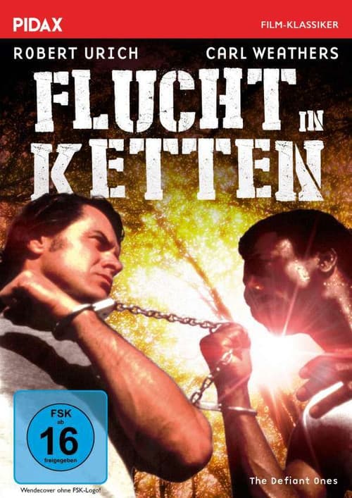 Flucht in Ketten