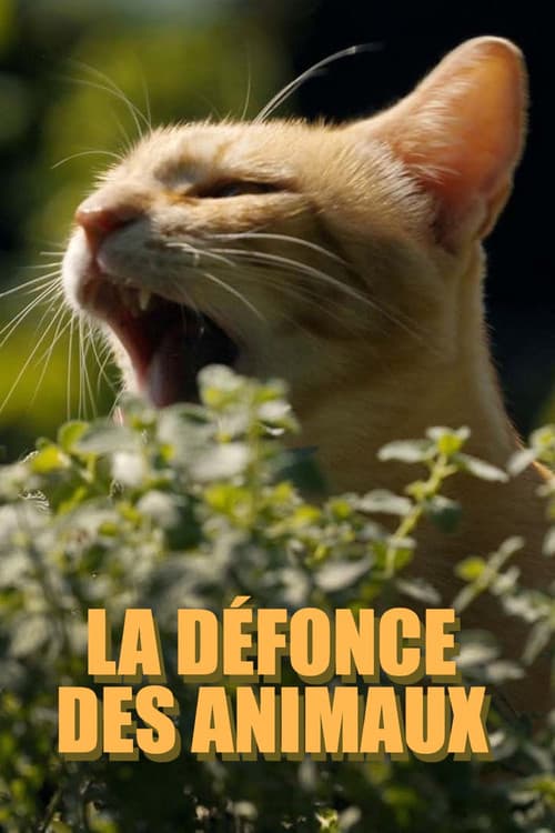 Tierisch high