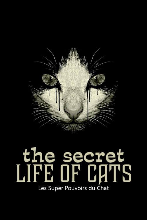 Les Super Pouvoirs du chat