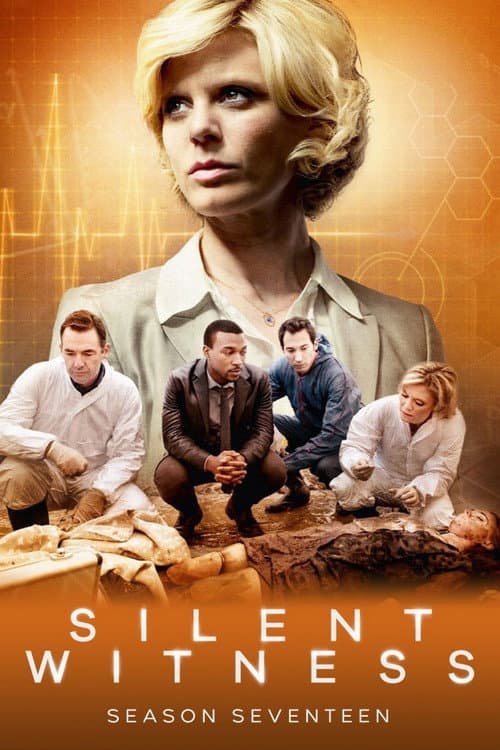 Series 17