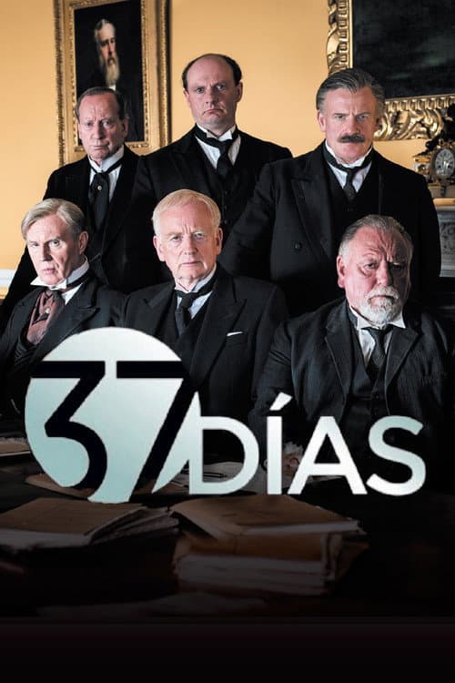 Miniseries