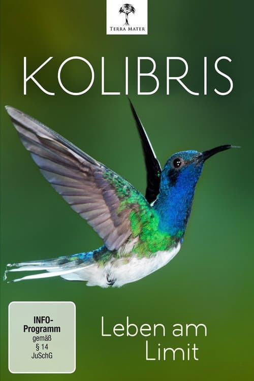 Kolibris: Leben am Limit
