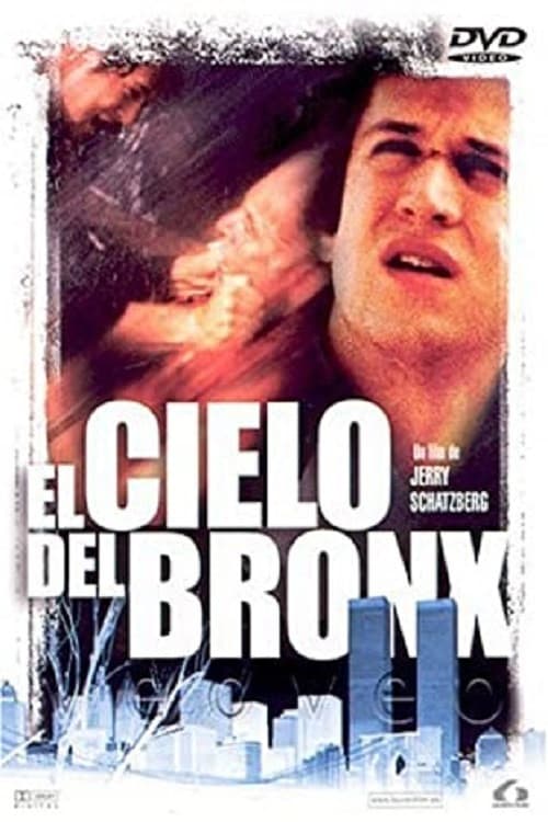 El cielo del Bronx