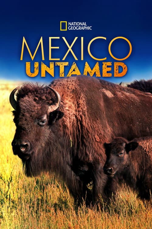 Wildes Mexiko