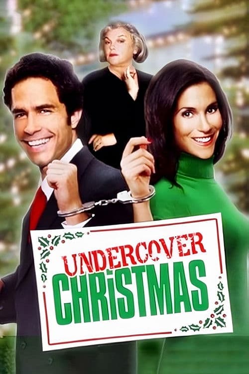 Undercover Lover - Liebe auf Umwegen