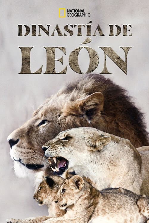Dinastía de león