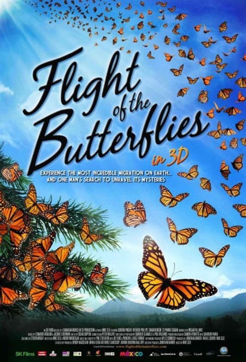 Der Flug des Schmetterlings