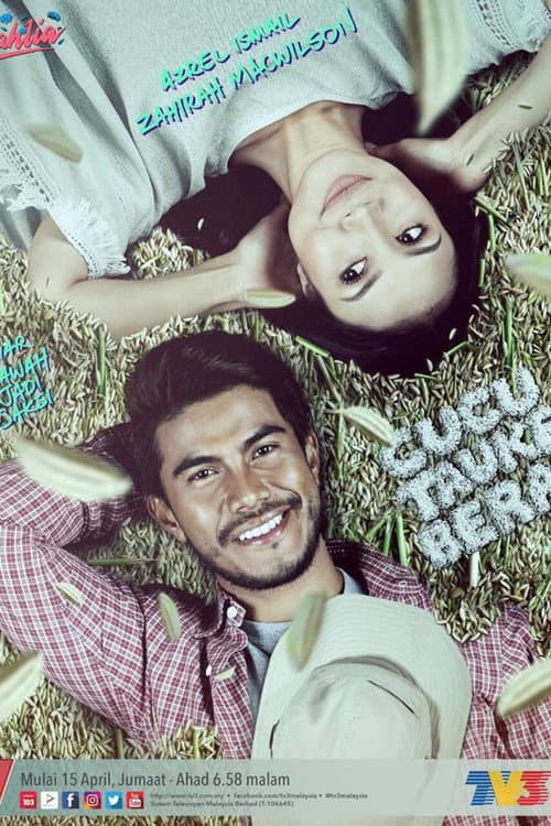 Cucu Tauke Beras