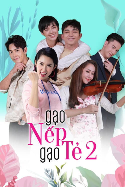 Gạo nếp gạo tẻ 2