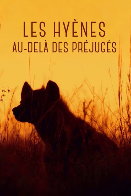 Les hyènes - Au-delà des préjugés