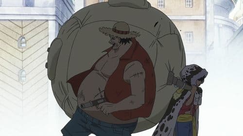 The Beginning of The New Chapter! The Straw Hats Reunited!