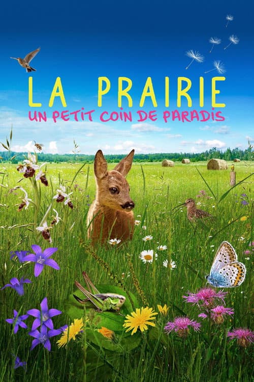 La prairie, un petit coin de paradis
