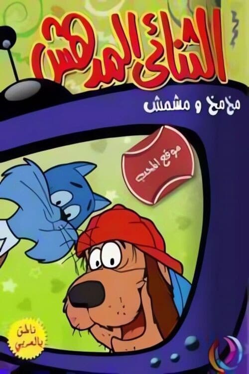 الثنائي المدهش