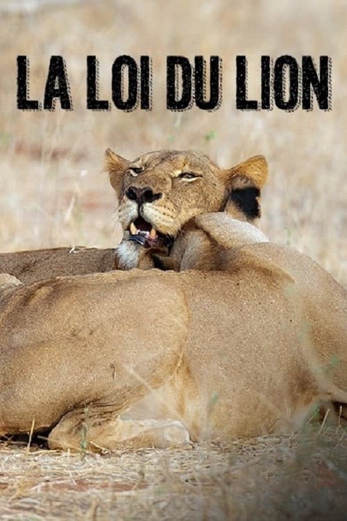 La loi du lion