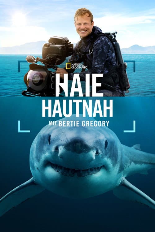 Haie hautnah mit Bertie Gregory
