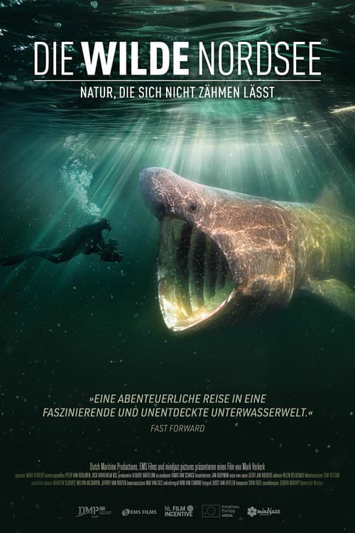 Die Wilde Nordsee - Natur, die sich nicht zähmen lässt