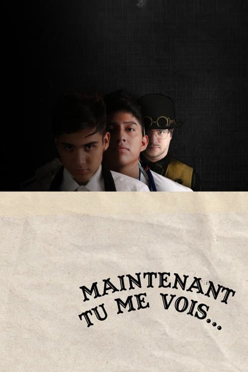 Maintenant Tu Me Vois...