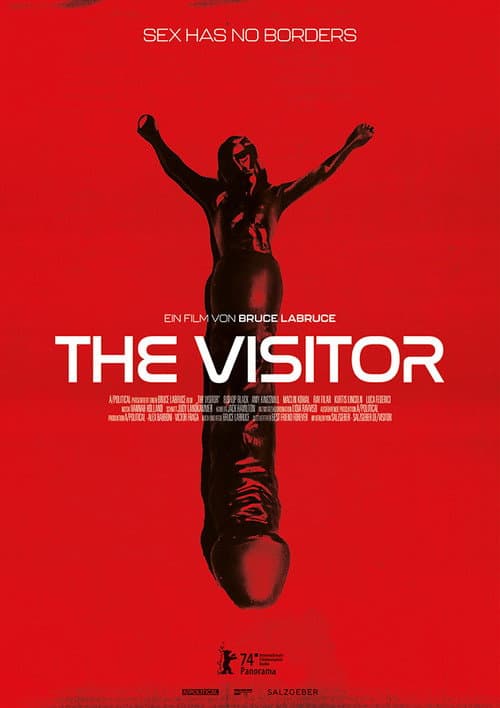 The Visitor