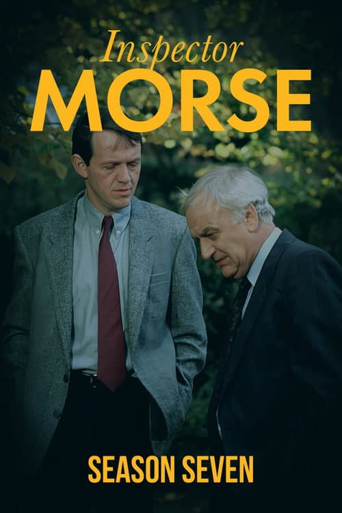 Series 7