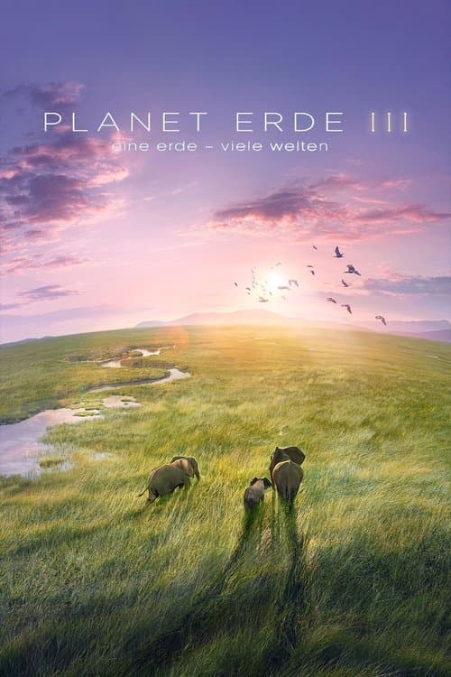 Unsere Erde III