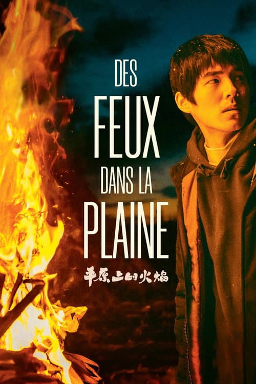 Des Feux dans la Plaine