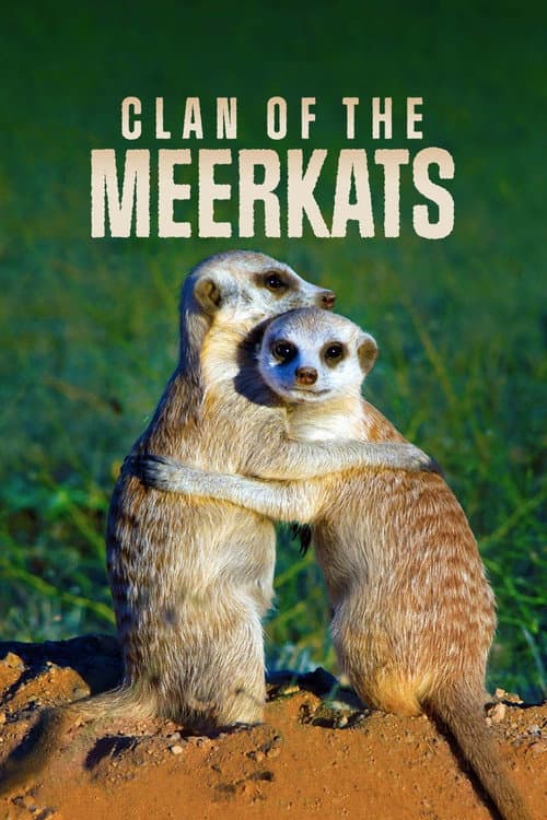 Der Clan der Erdmännchen